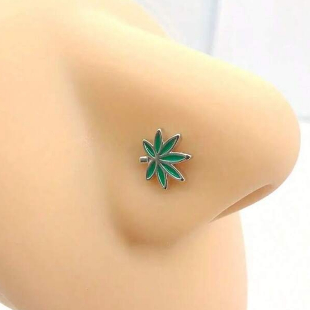 Nose Ring 20$